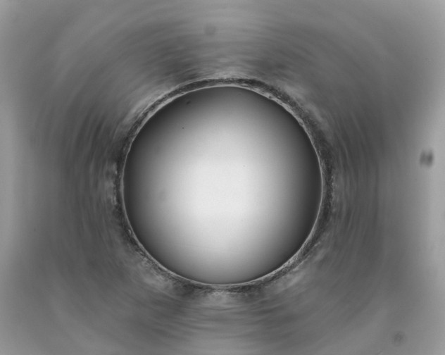 X0000091671265200709061035