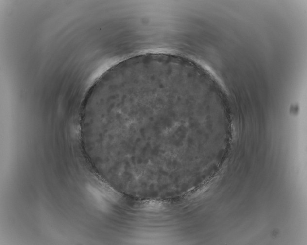 X0000091671266200709061035