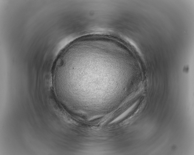 X0000091671267200709061035