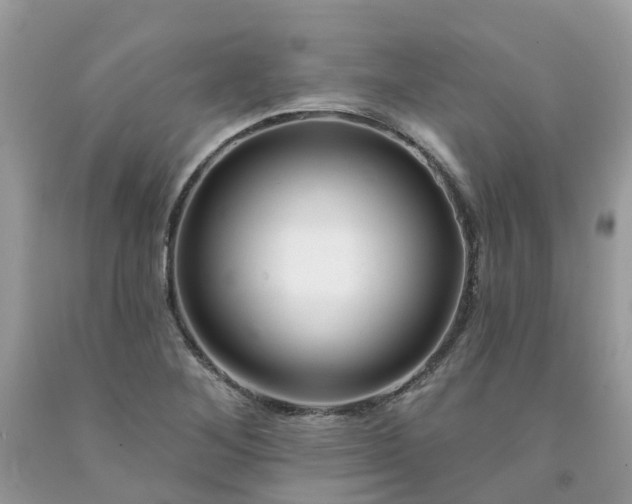 X0000091671268200709061035