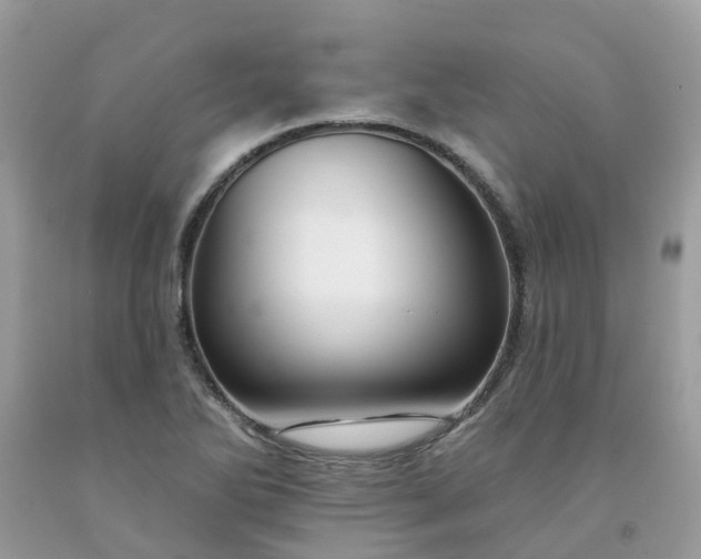 X0000091671270200709061035