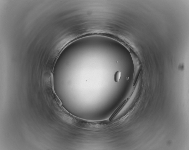 X0000091671273200709061035