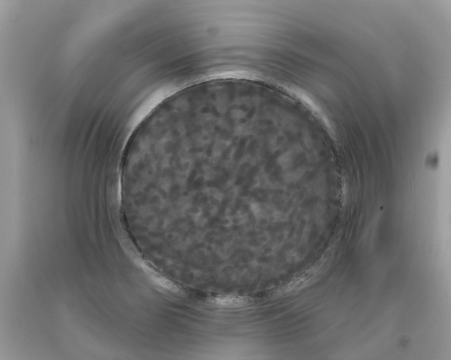 X0000091671274200709061035