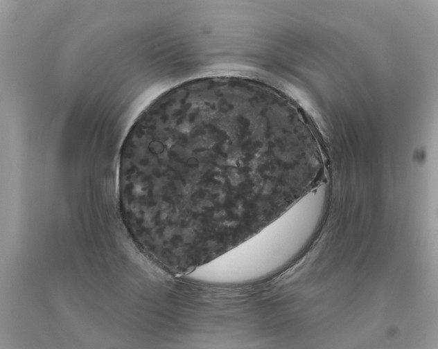 X0000091671275200709061035