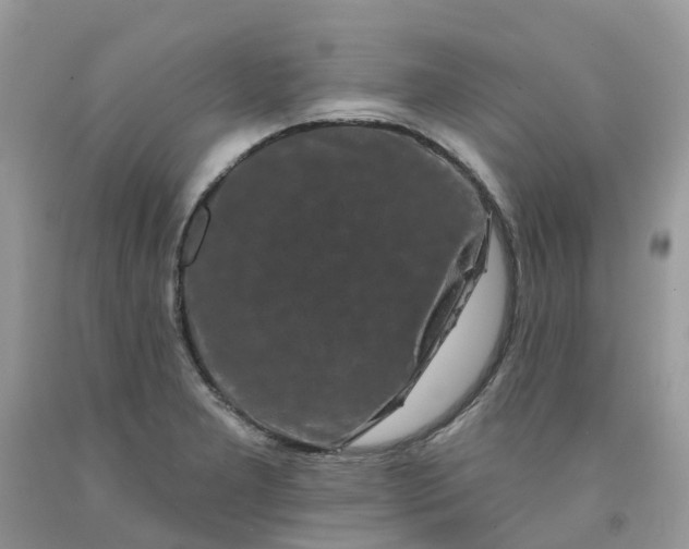 X0000091671277200709061035