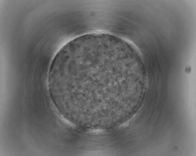 X0000091671278200709061035