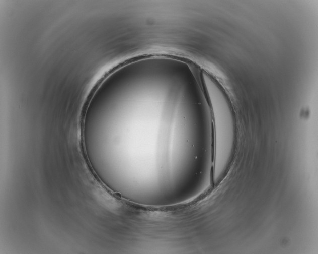 X0000091671280200709061035