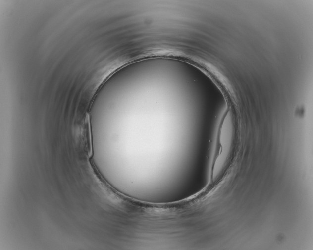 X0000091671281200709061035