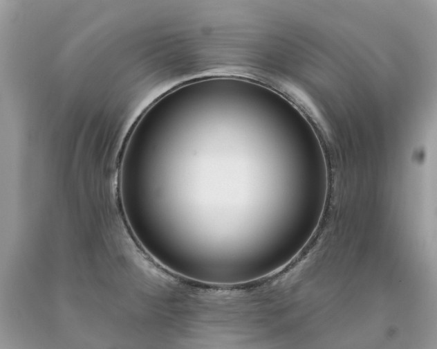 X0000091671284200709061035
