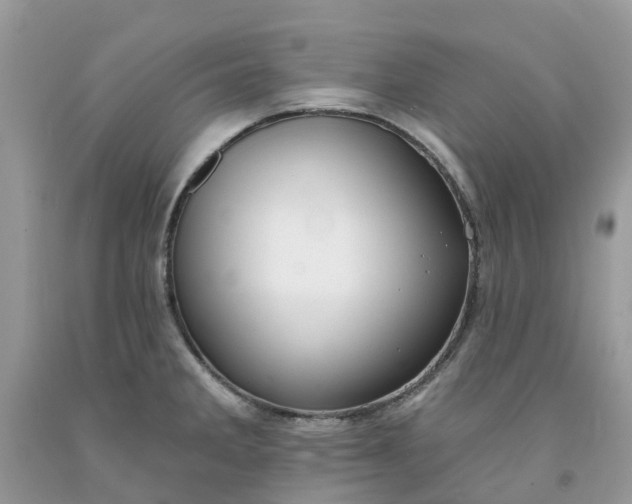 X0000091671285200709061035
