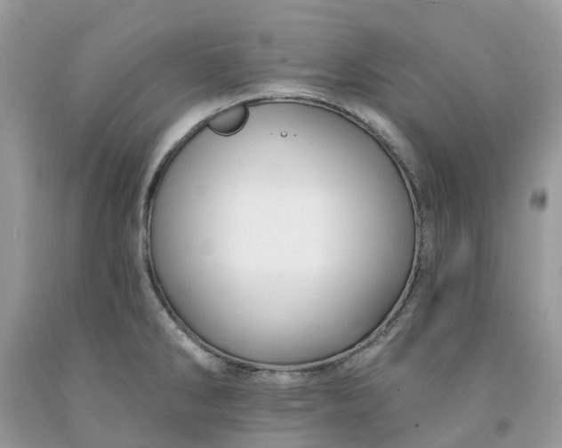X0000091671286200709061035