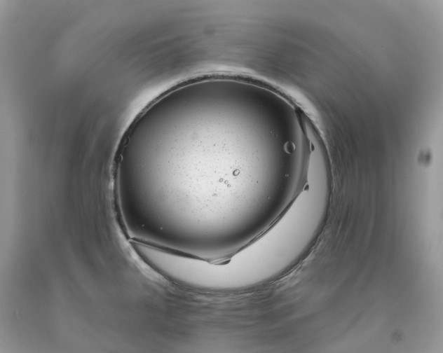 X0000091671287200709061035