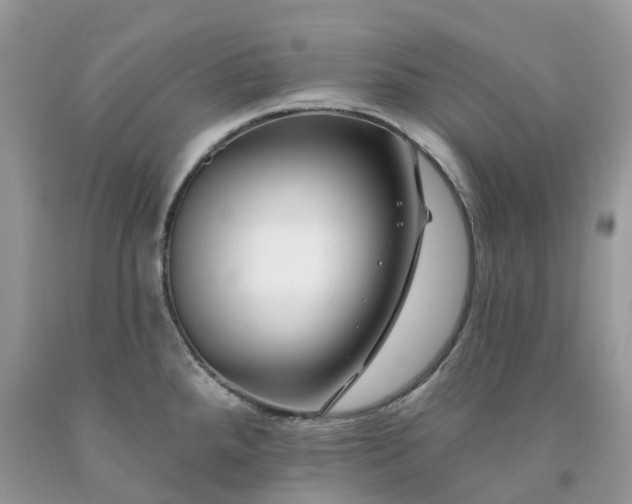 X0000091671288200709061035