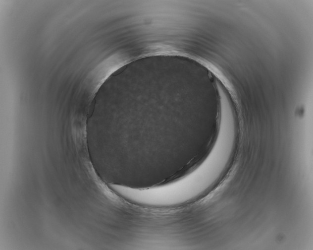 X0000091671289200709061035