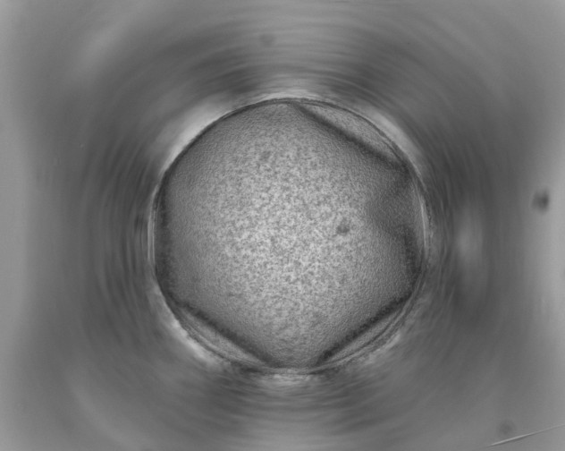 X0000091671290200709061035