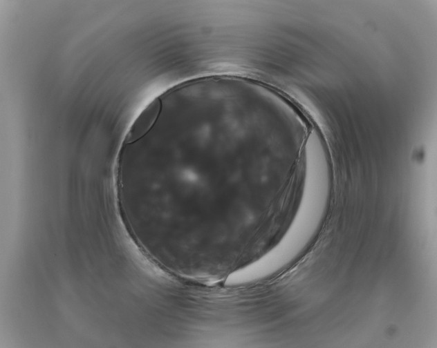 X0000091671291200709061035