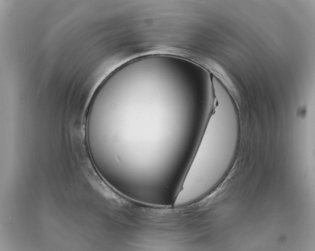 X0000091671292200709061035