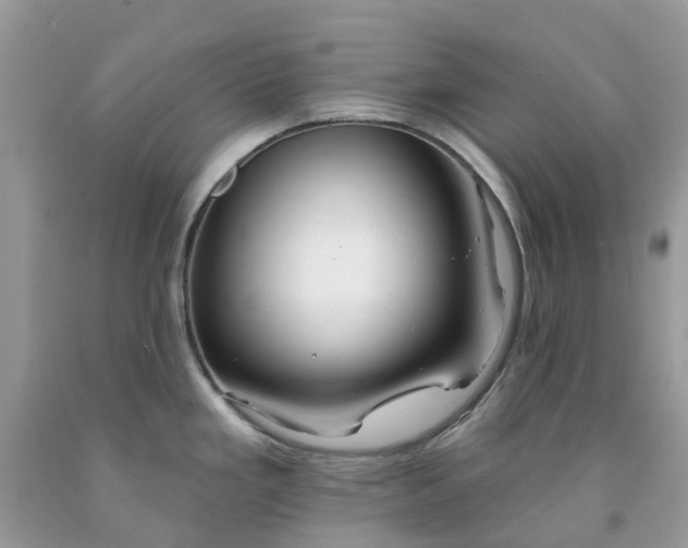 X0000091671293200709061035