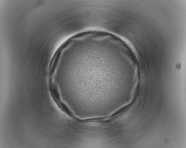 X0000091671295200709061035
