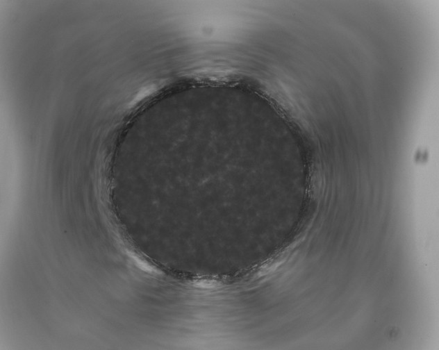 X0000091671297200709061034