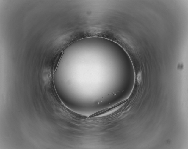 X0000091671299200709061034