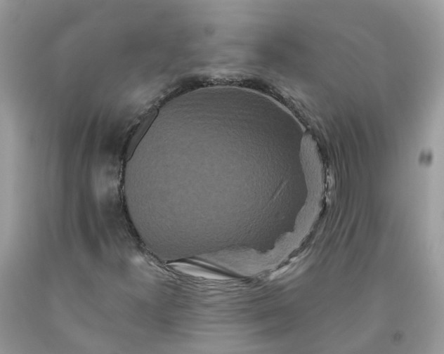 X0000091671300200709061034