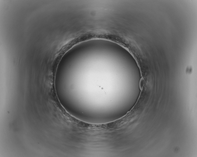 X0000091671301200709061034