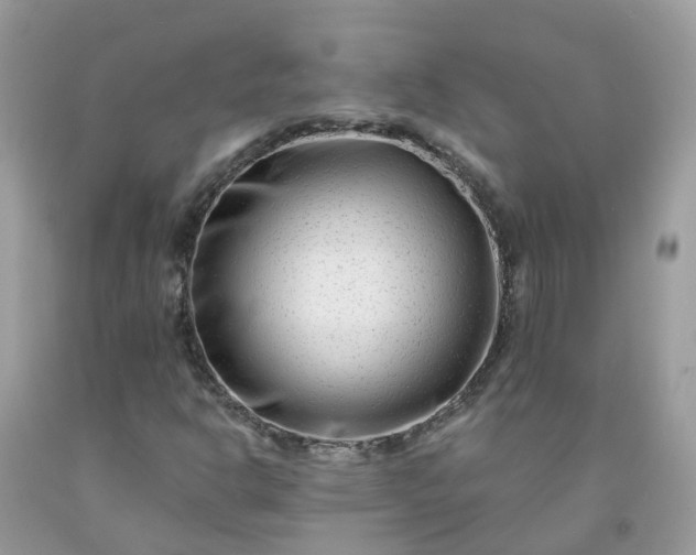 X0000091671302200709061034