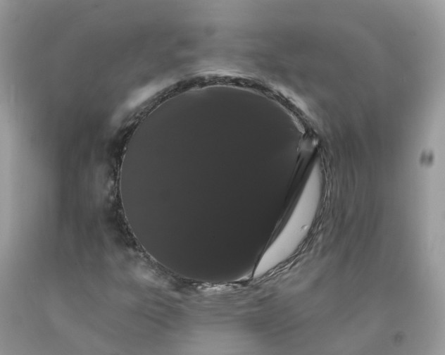 X0000091671303200709061034