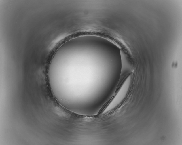 X0000091671304200709061034