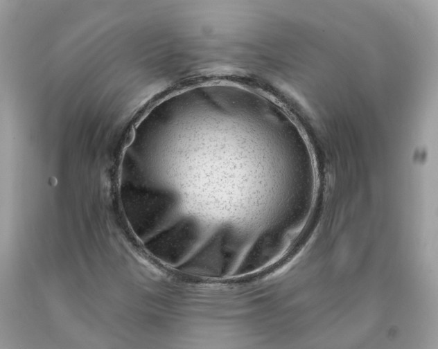 X0000091671305200709061034