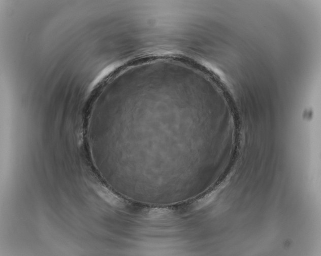 X0000091671306200709061034