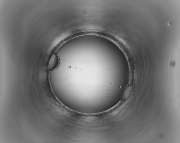 X0000091671309200709061034