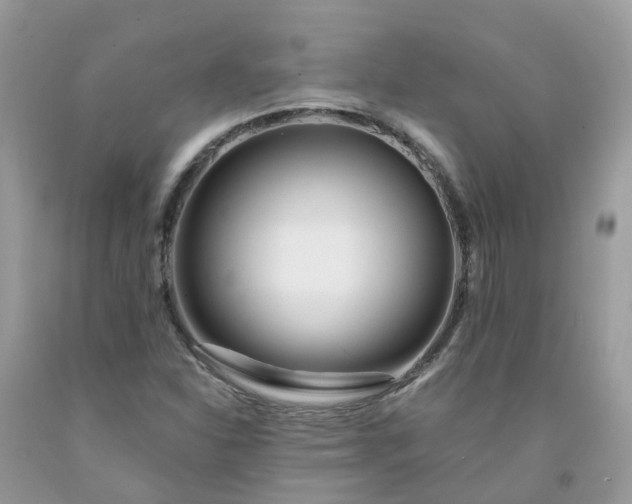 X0000091671310200709061034