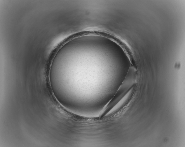 X0000091671311200709061034