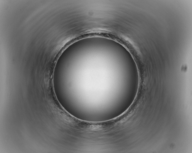 X0000091671313200709061034
