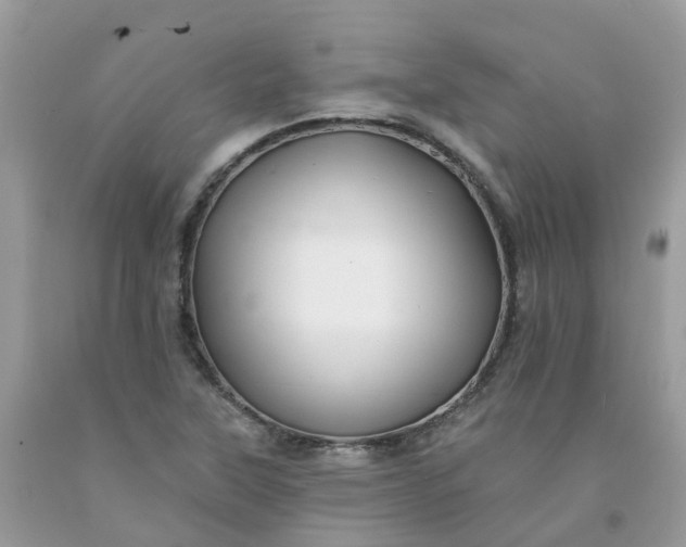 X0000091671315200709061034