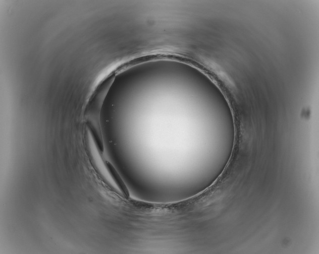 X0000091671316200709061034