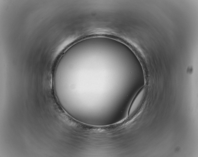 X0000091671317200709061034