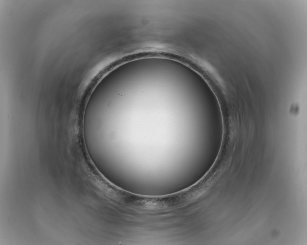 X0000091671318200709061034