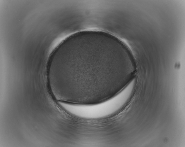 X0000091671319200709061034