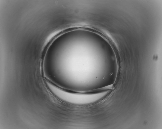 X0000091671320200709061034