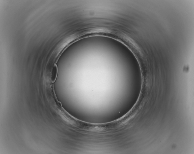 X0000091671321200709061034