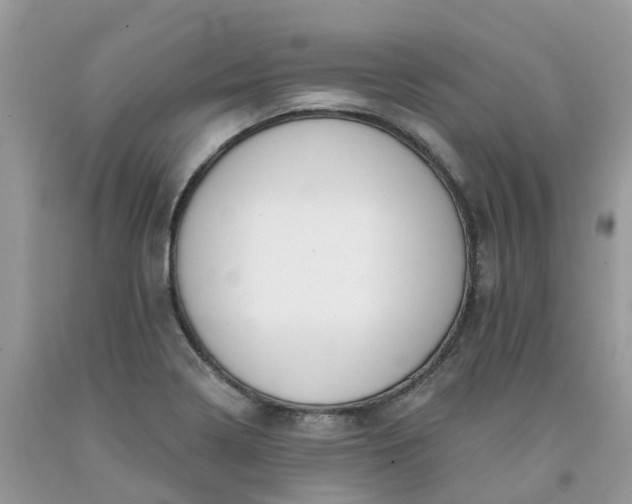X0000091671322200709061034