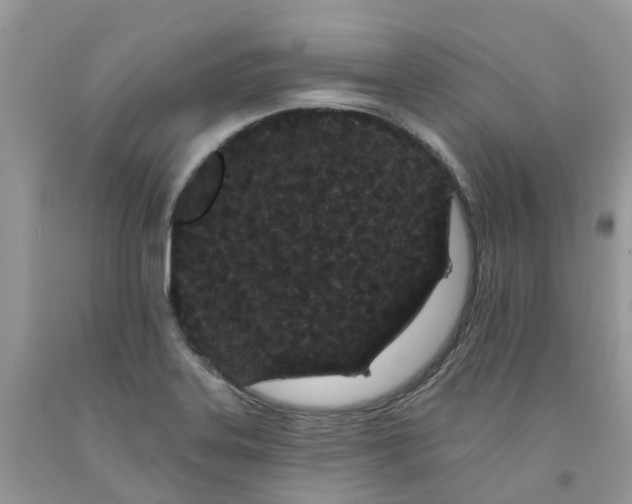 X0000091671323200709061034