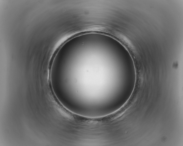 X0000091671324200709061034