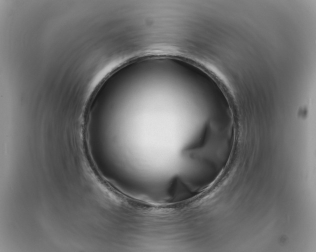 X0000091671325200709061034