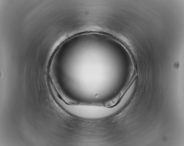 X0000091671326200709061034