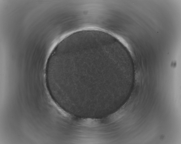 X0000091671327200709061034