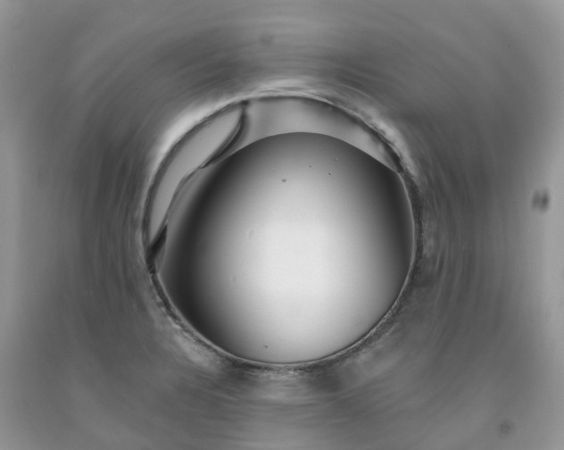 X0000091671328200709061034